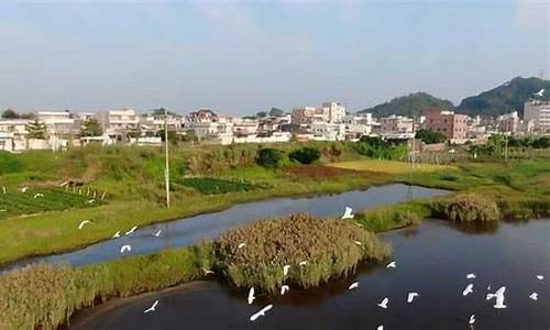 海丰县天气查询预报_海丰县天气查询