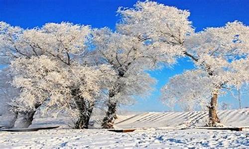 逊克天气预报一周7天教师节_逊克天气预报一周